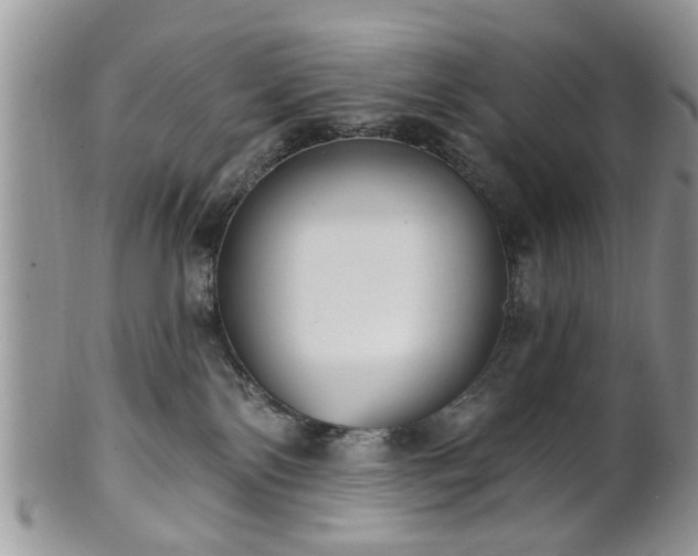 X0000101970138200807251219