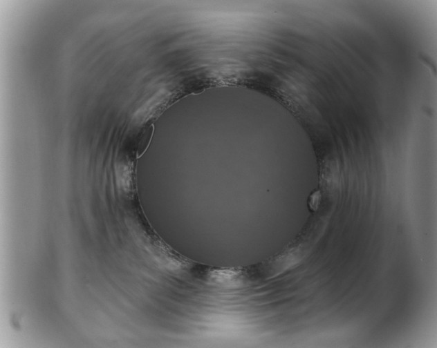 X0000101970139200807251219