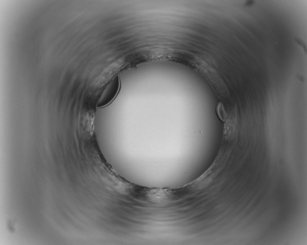 X0000101970142200807251219