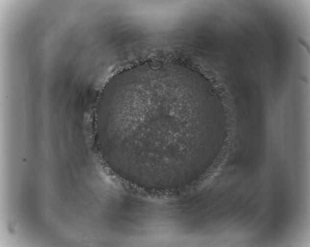 X0000101970144200807251219