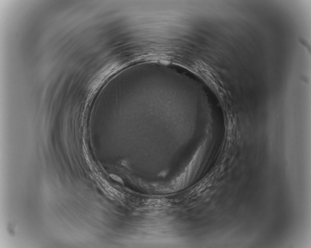 X0000101970145200807251218