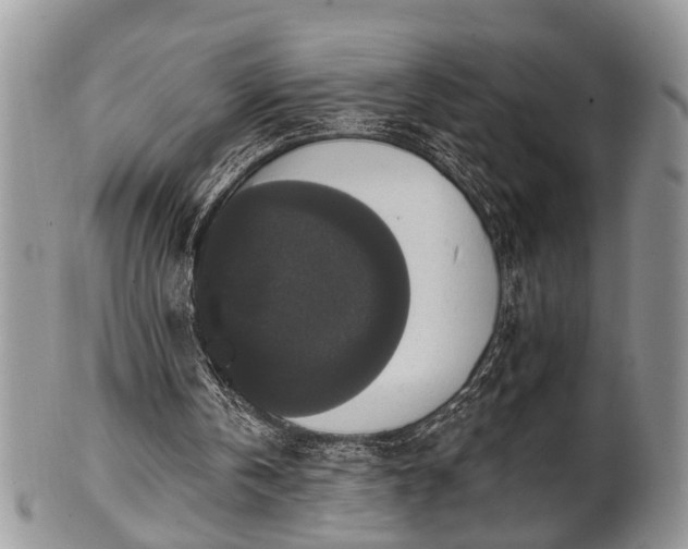 X0000101970146200807251218