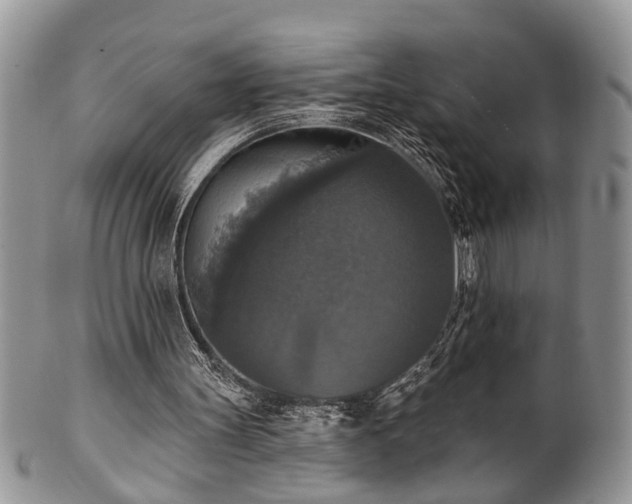 X0000101970147200807251218