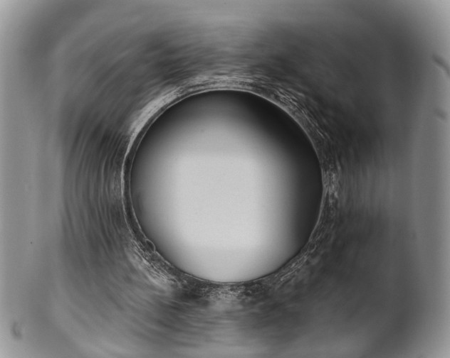 X0000101970148200807251218
