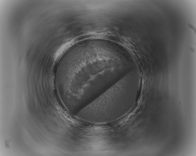 X0000101970149200807251218