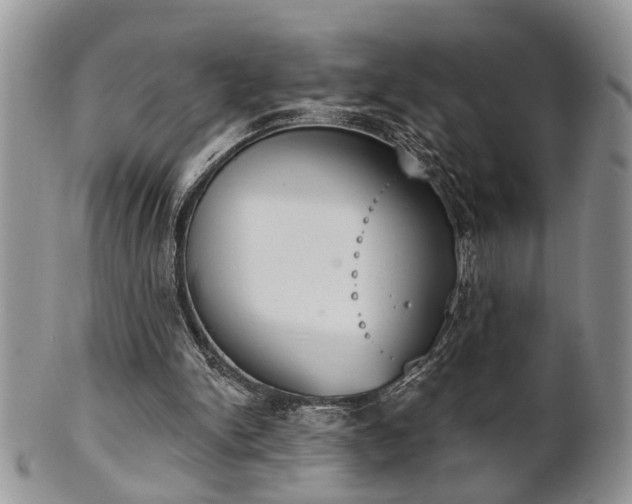 X0000101970150200807251218