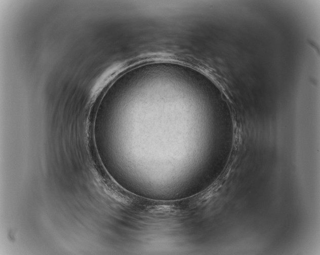 X0000101970151200807251218