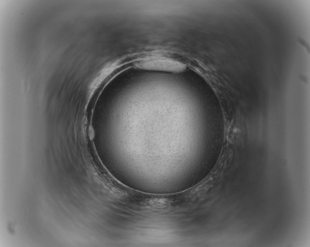 X0000101970152200807251218