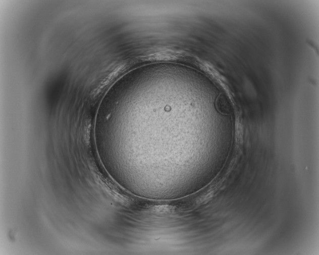 X0000101970153200807251218