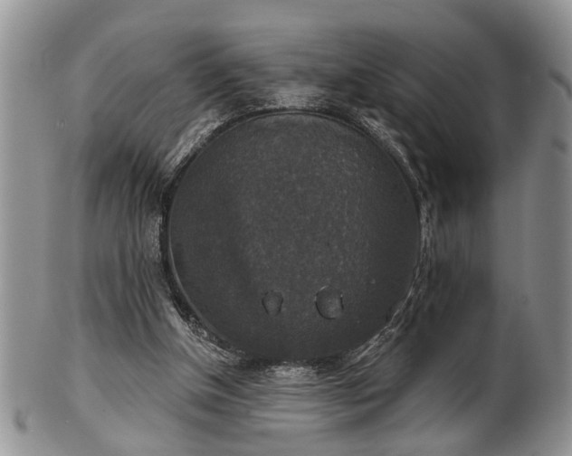 X0000101970154200807251218