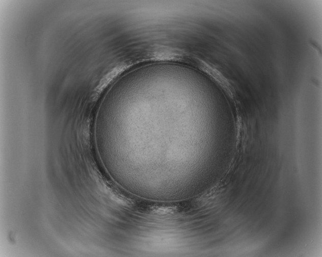 X0000101970155200807251218