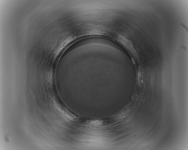X0000101970156200807251219