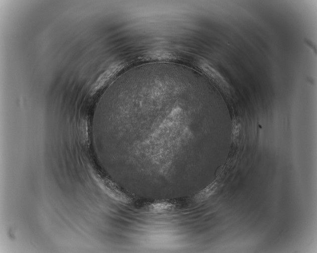 X0000101970158200807251219