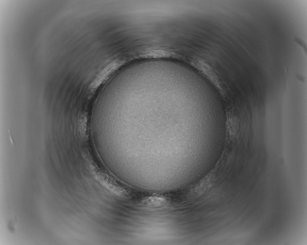 X0000101970159200807251219