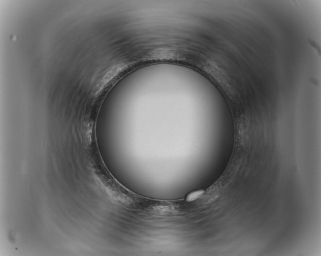 X0000101970160200807251219