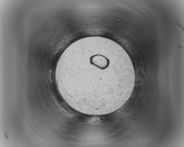 X0000101970162200807251219