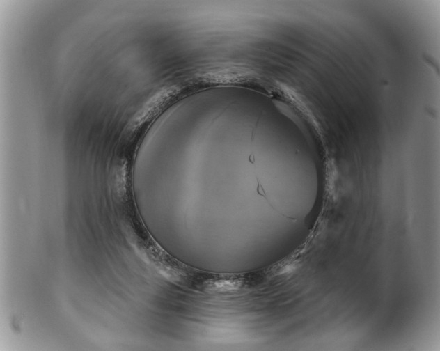 X0000101970163200807251219