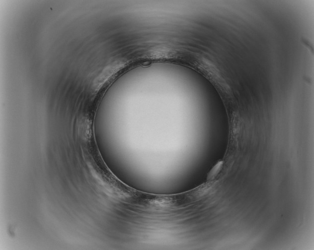 X0000101970164200807251219