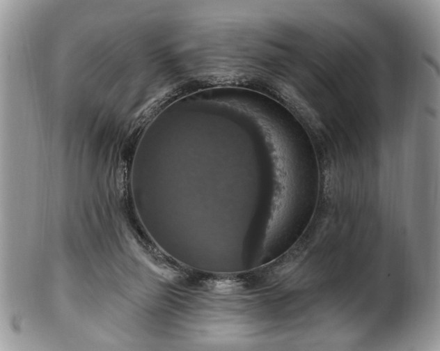 X0000101970165200807251219