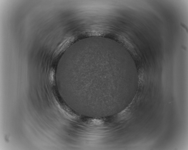 X0000101970166200807251219