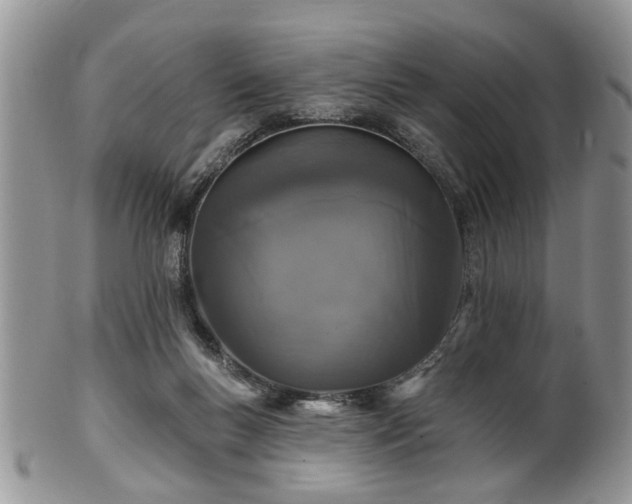 X0000101970167200807251219