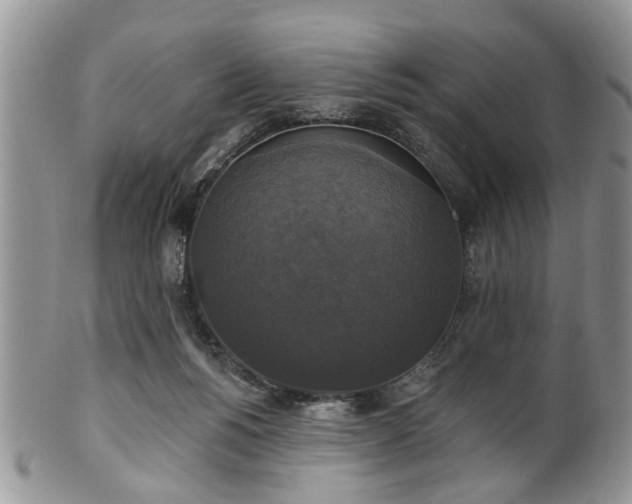 X0000101970168200807251219