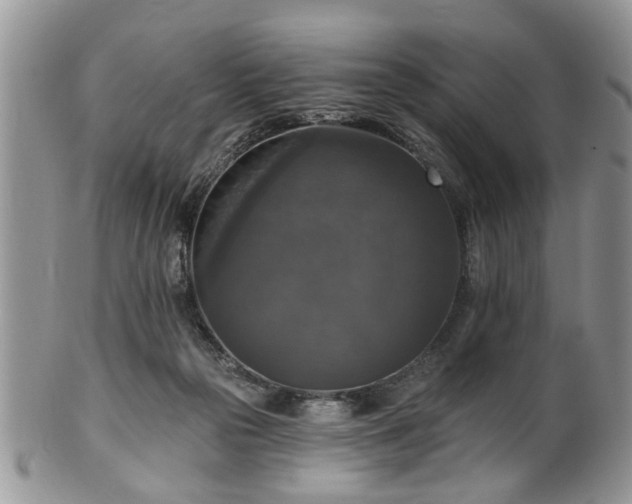 X0000101970169200807251219