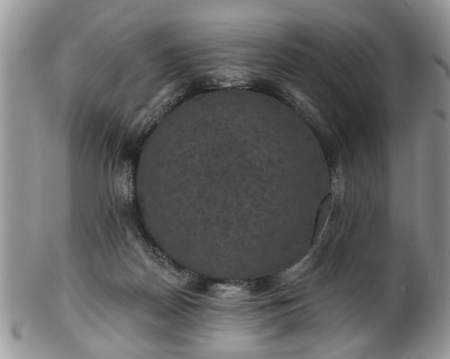 X0000101970170200807251219