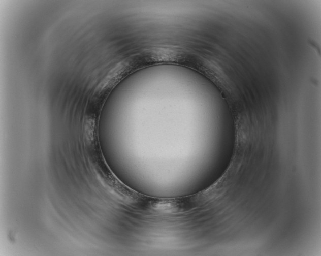 X0000101970171200807251219