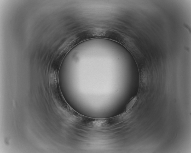 X0000101970172200807251219