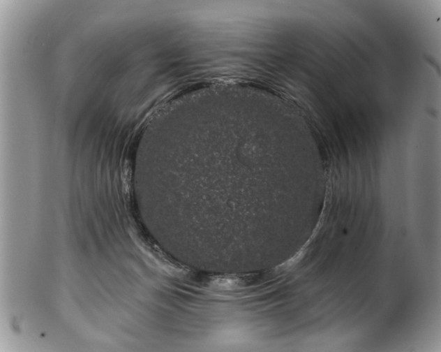 X0000101970174200807251219