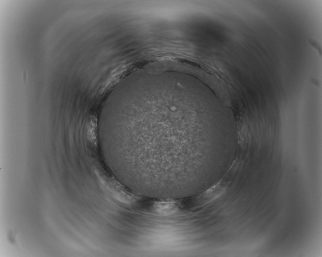 X0000101970175200807251219