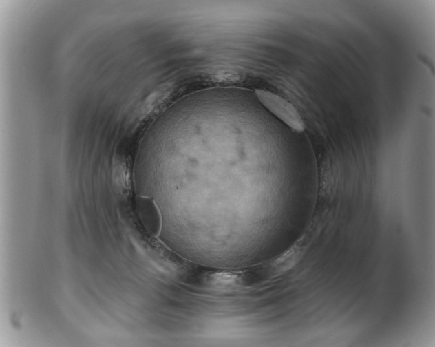 X0000101970176200807251219