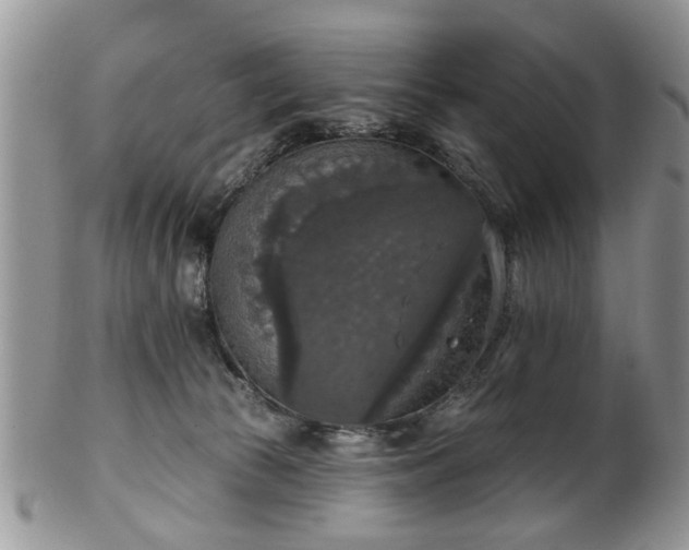 X0000101970177200807251219