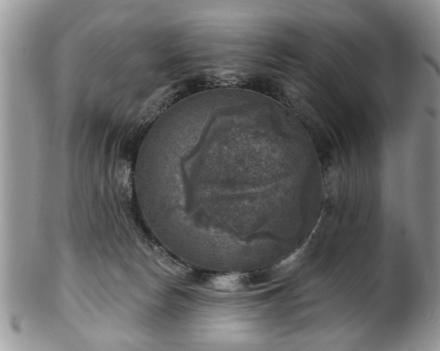 X0000101970178200807251219