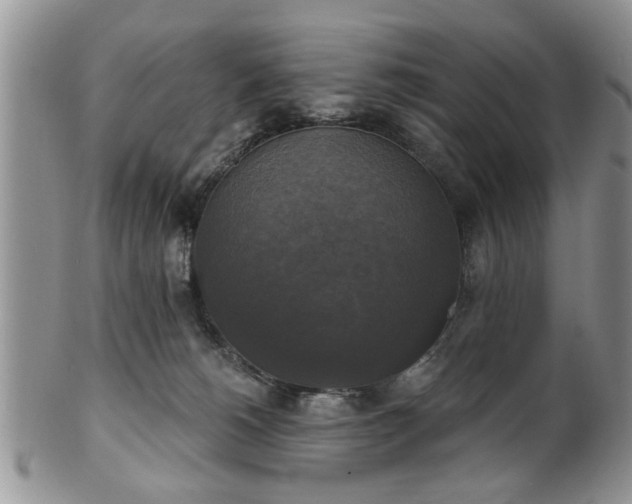 X0000101970180200807251219