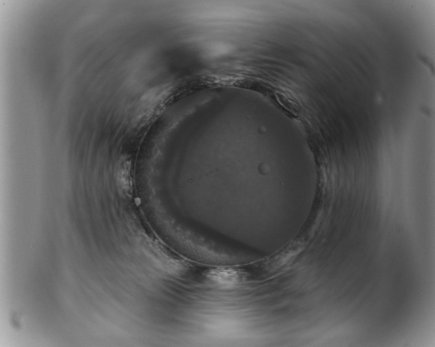 X0000101970181200807251219