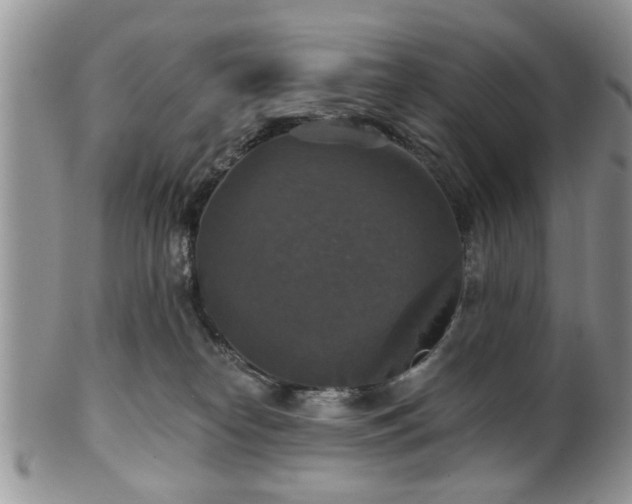 X0000101970182200807251219