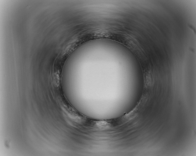 X0000101970183200807251219