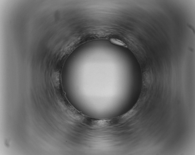 X0000101970184200807251219