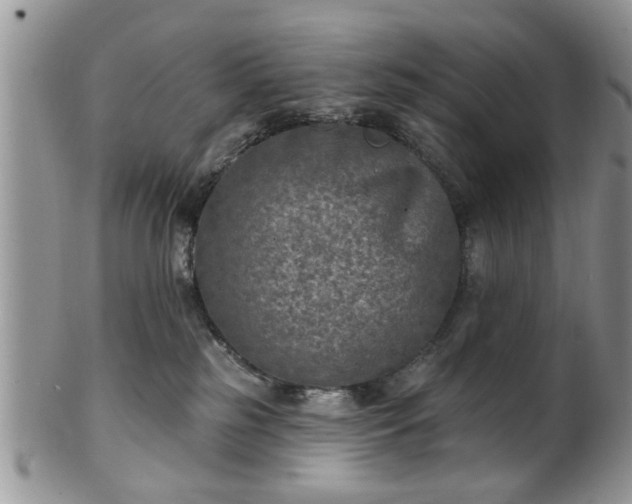 X0000101970185200807251219
