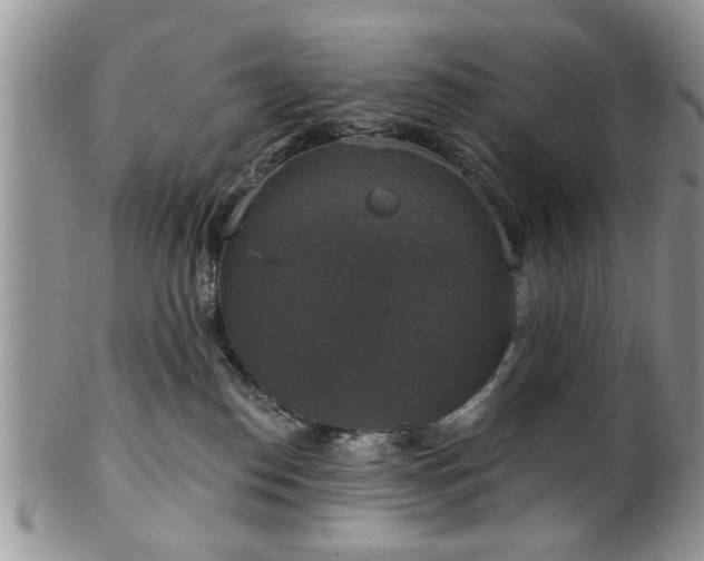X0000101970186200807251219