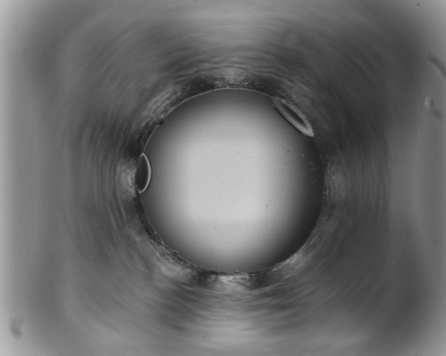 X0000101970188200807251219