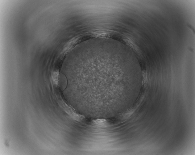 X0000101970189200807251219