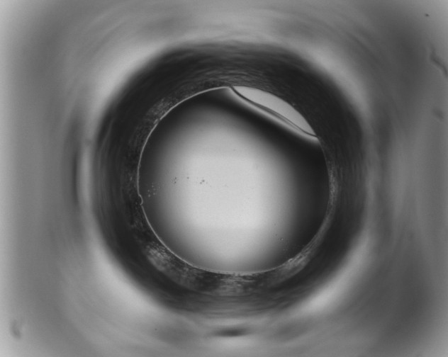 X0000101970190200807251219