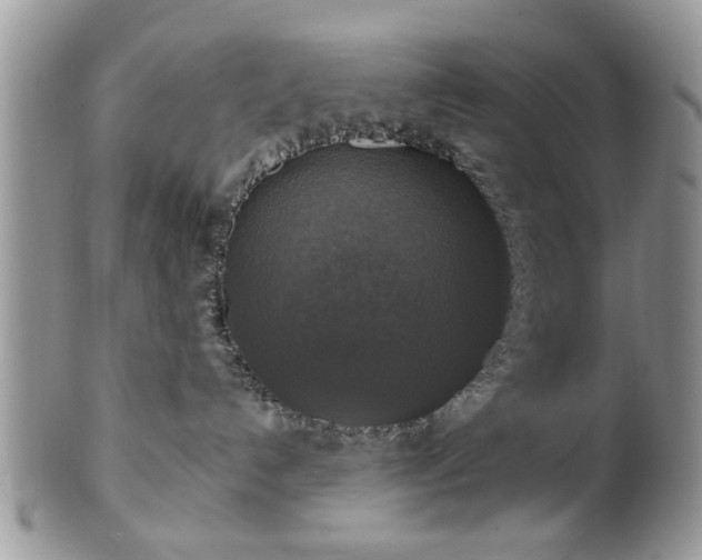 X0000101970192200807251219