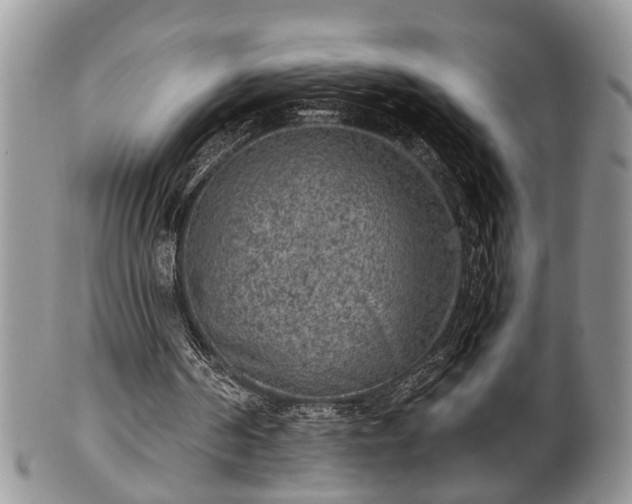 X0000101970194200807251218