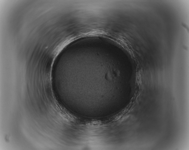 X0000101970196200807251218