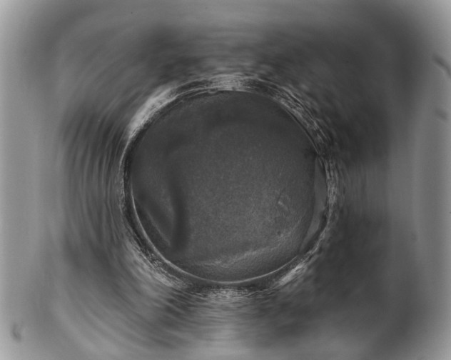 X0000101970198200807251218