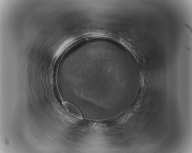 X0000101970199200807251218